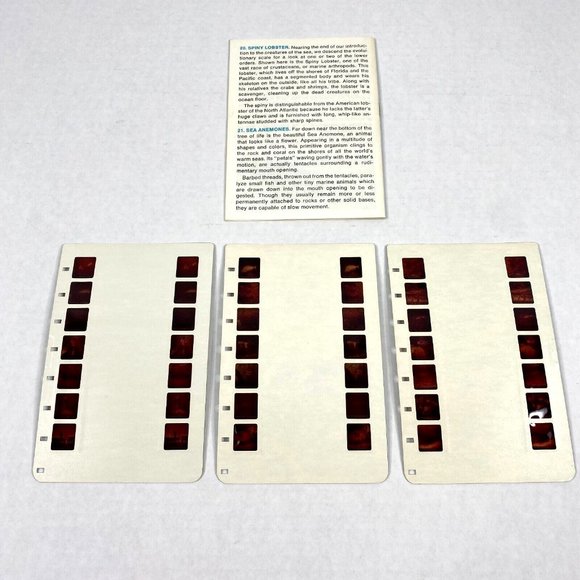 Tru-Vue Film Cards Set of 3 Stereoview Sea Life Ichthyology Young Scientist VTG - Picture 2 of 7